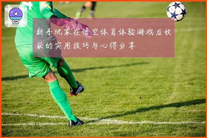 新手玩家在悟空体育体验游戏后收获的实用技巧与心得分享