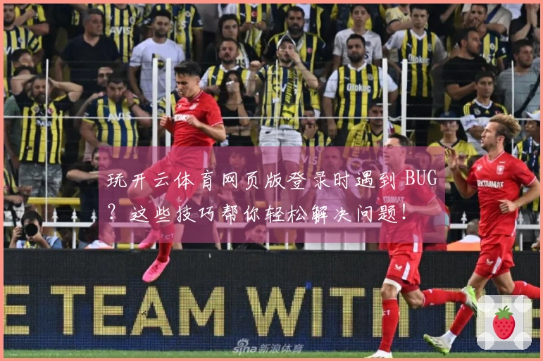玩开云体育网页版登录时遇到 BUG？这些技巧帮你轻松解决问题！